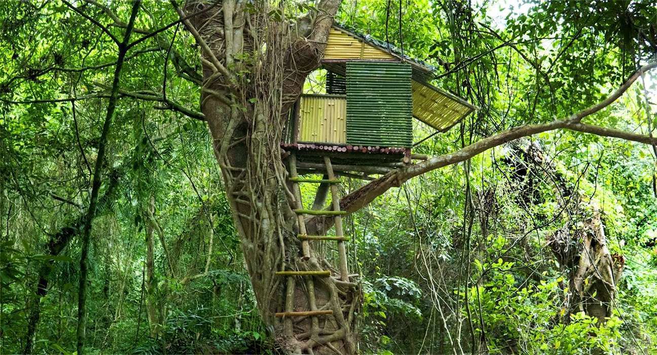 Creating a bamboo House in the Heart of the Forest
