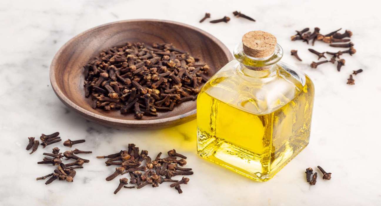 clove oil and health benefits